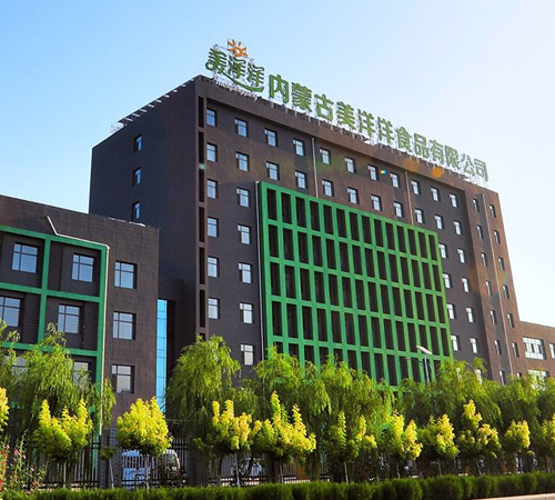 Inner Mongolia Meiyangyang Food Co., Ltd.